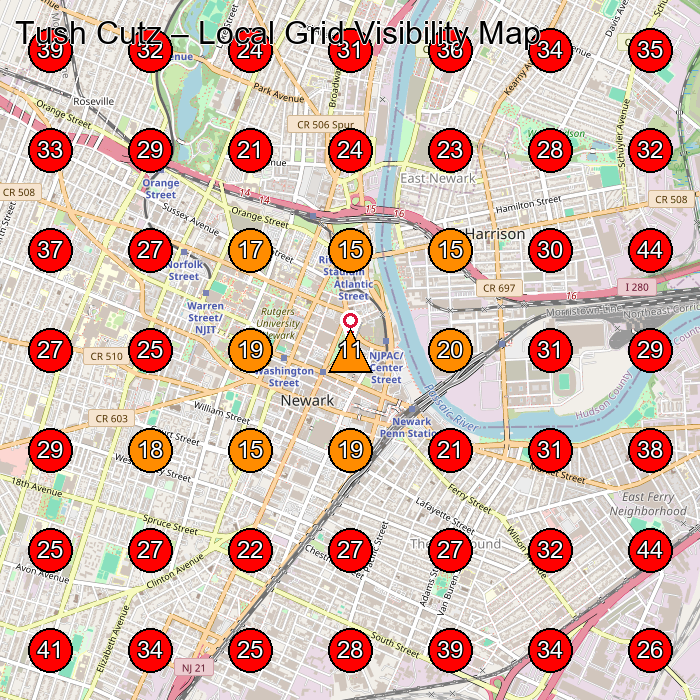 Tush Cutz GeoGrid visibility map for Barber Shop in Newark